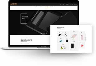 包裝行業(yè)網(wǎng)站建設(shè) 樂品官網(wǎng)建設(shè) 禮品行業(yè)網(wǎng)站開發(fā) 上海網(wǎng)站建設(shè)公司 邁若網(wǎng)絡(luò)網(wǎng)站設(shè)計(jì)案例