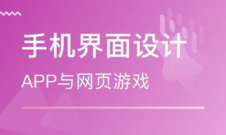 上海網(wǎng)頁設(shè)計(jì)基礎(chǔ)課程
