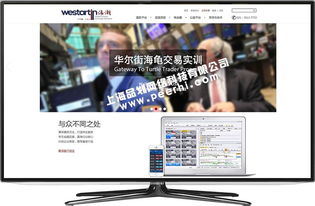 青浦網(wǎng)站制作 青浦做網(wǎng)站公司 青浦網(wǎng)站設(shè)計公司 青浦網(wǎng)站建設(shè)