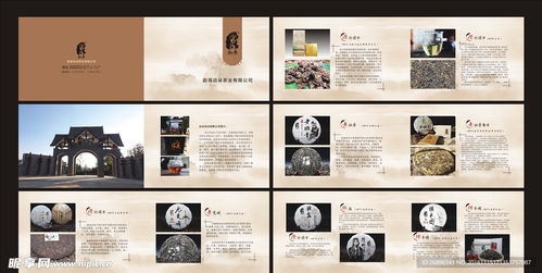 茶葉產品畫冊設計圖