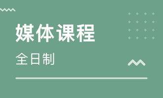 上海網(wǎng)頁設(shè)計基礎(chǔ)課程