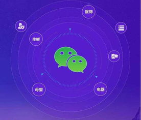 上海網(wǎng)頁制作從六個(gè)方向分析2018年小程序的發(fā)展趨勢