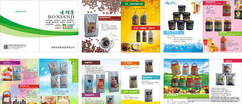 食品畫冊設(shè)計圖與上海網(wǎng)頁開發(fā) 數(shù)字化時代的品牌視覺整合