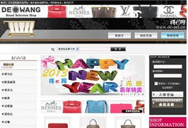 專業網站建設案例分享 上海萬腦網絡的網站開發服務