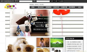 上海網站建設與設計 打造企業數字化門戶的關鍵步驟