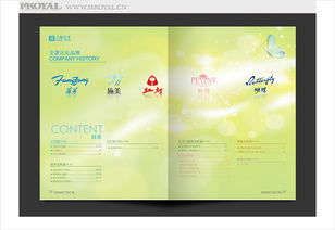 上海畫冊與網頁設計 品牌視覺傳播的雙翼